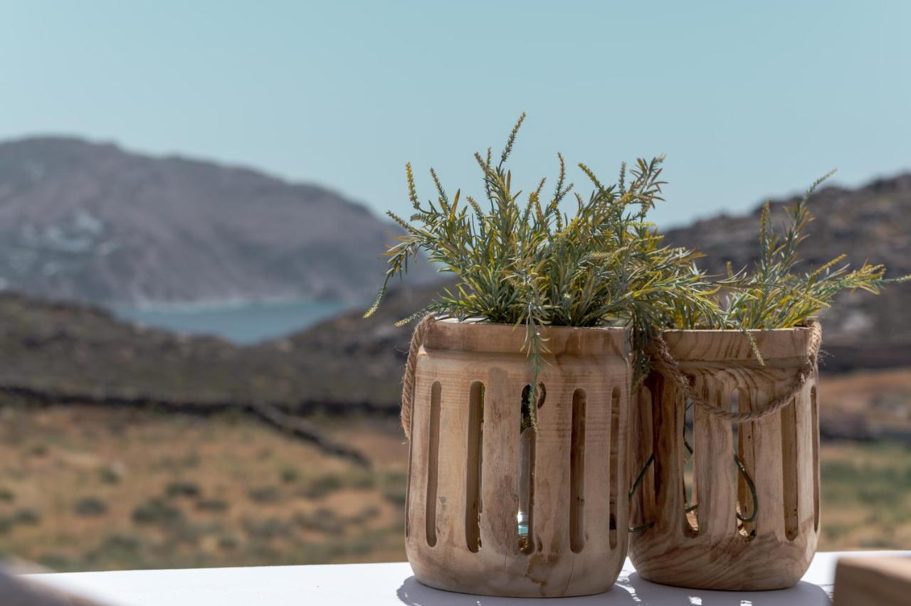 Anemela Villas & Suites Mykonos Agrari  Exteriér fotografie